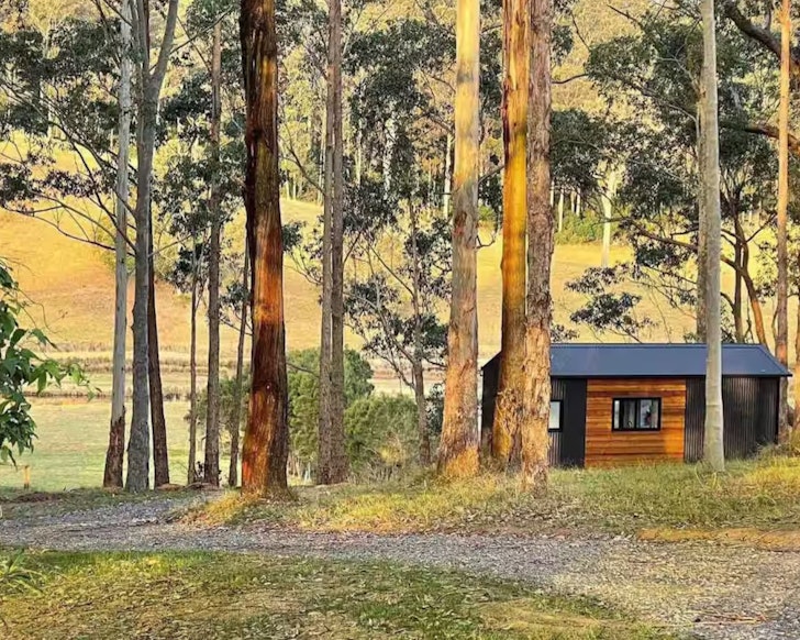 A view of Coolabah Tiny Home among the trees, one of the best accommodation options near Narooma NSW