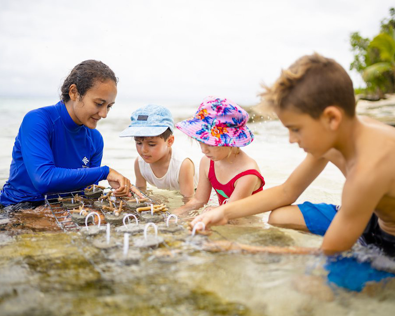 A Marine Biologist helps some children plant coral onto cement ‘cookies’ at Nanuku Resort Fiji. 