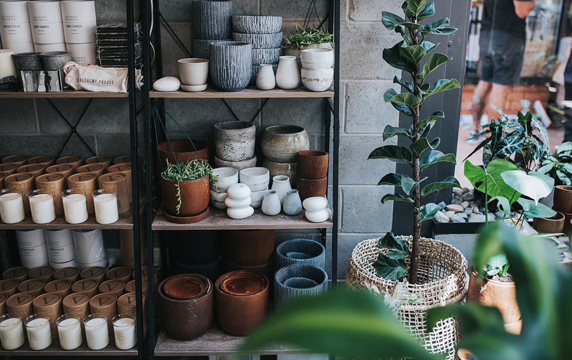 6 Of The Best Indoor Plant Shops On The Gold Coast URBAN LIST GOLD COAST