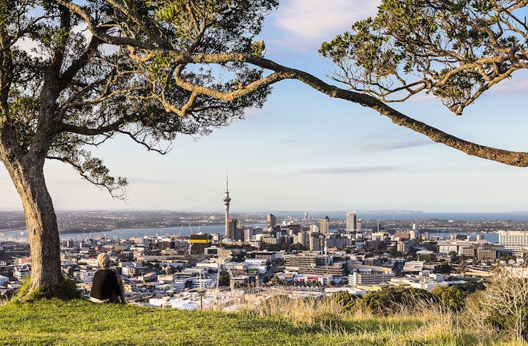 A person considers the view from the top of Maungawhau Mount Eden.
