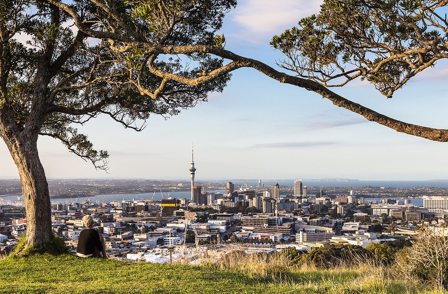 A person considers the view from the top of Maungawhau Mount Eden.