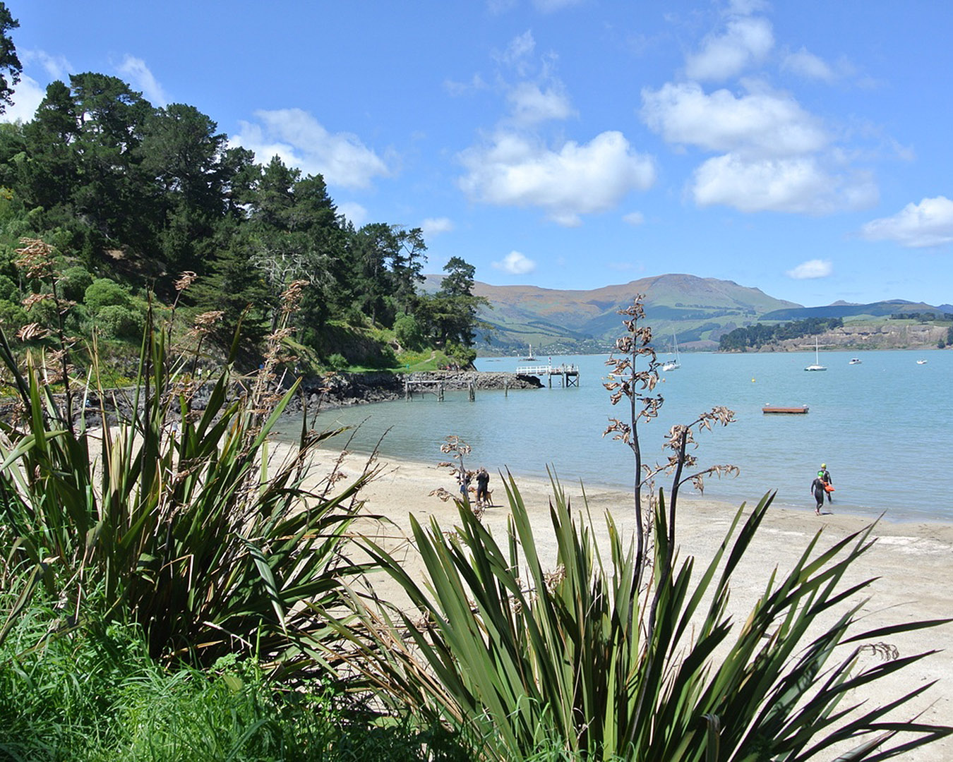 Corsair Bay looking out to Quail Island.