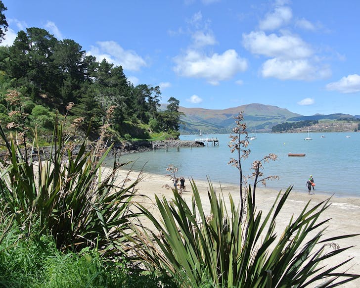 Corsair Bay looking out to Quail Island.