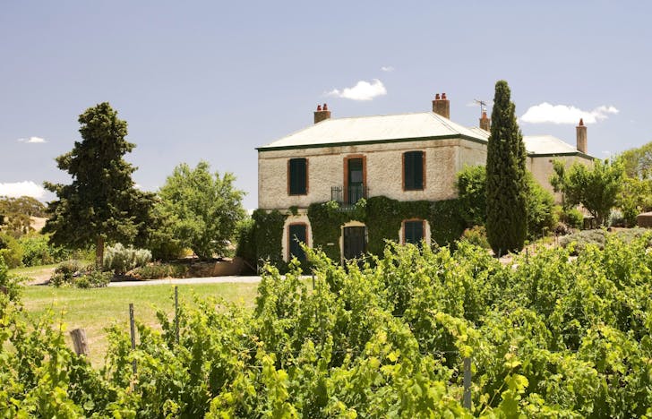 clos Clare: One of the Best wineries in South Australia