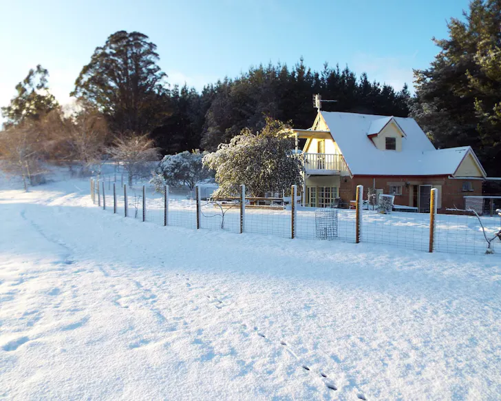 The best Pet-friendly Accommodation in Tasmania