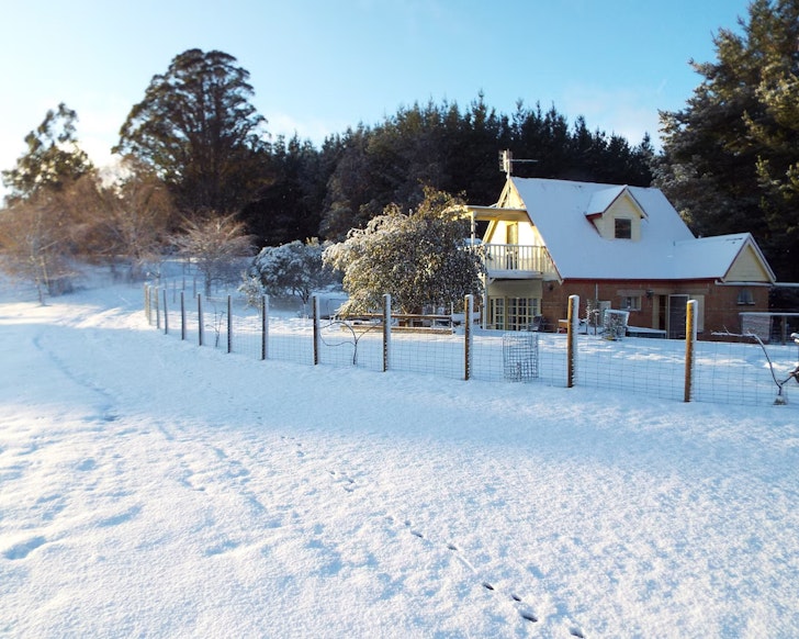 The best Pet-friendly Accommodation in Tasmania