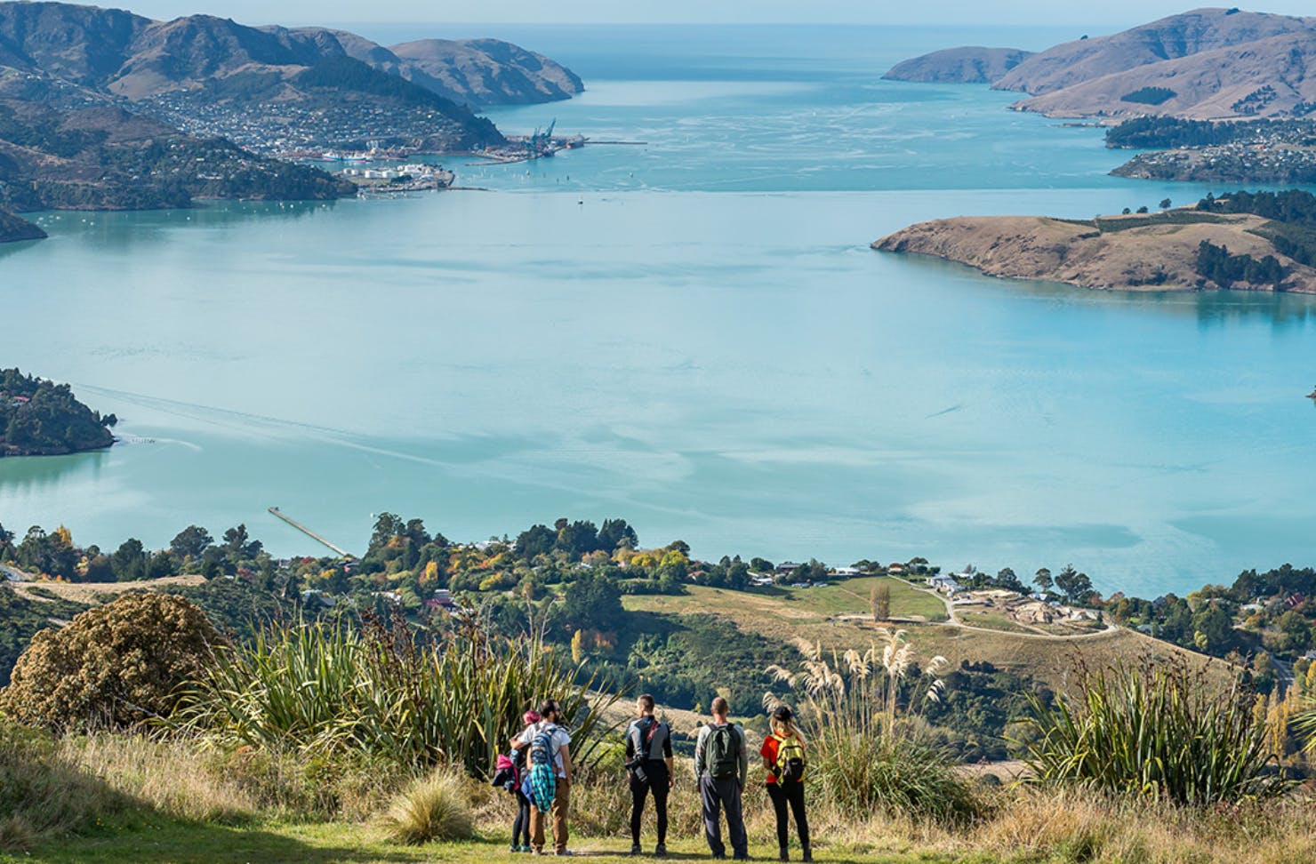 Jaw-dropping vistas await at the Crater Rim Walkway, one of the best walks in Christchurch. 