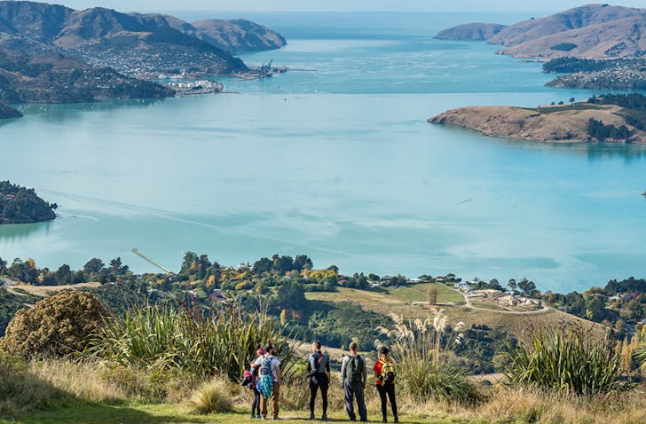 Jaw-dropping vistas await at the Crater Rim Walkway, one of the best walks in Christchurch. 
