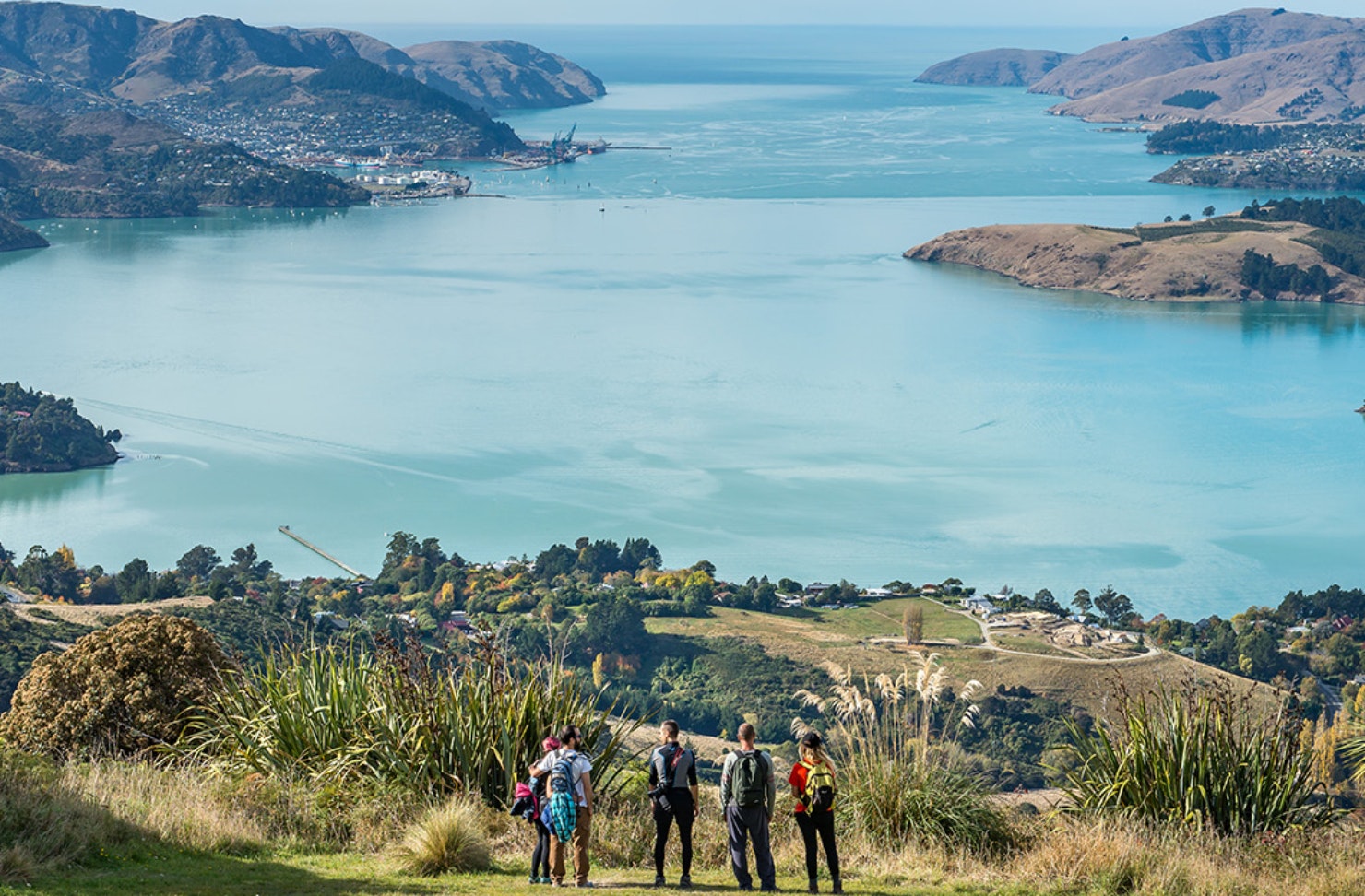 Jaw-dropping vistas await at the Crater Rim Walkway, one of the best walks in Christchurch. 