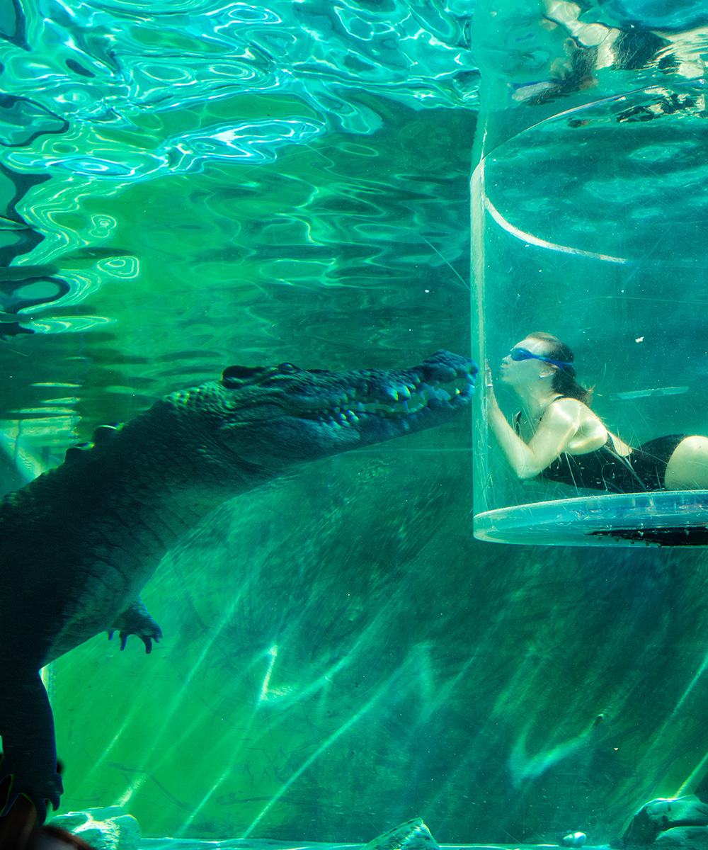 A person in the 'Cage Of Death' at Crocosaurus Cove