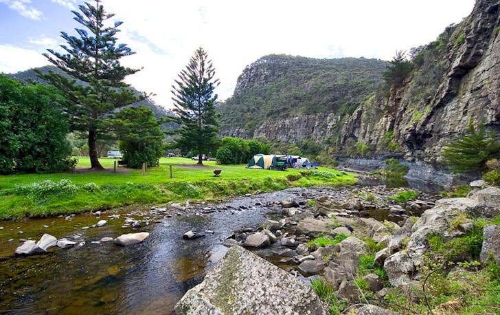 A large camping ground with trees and grass at a top Lorne accommodation.