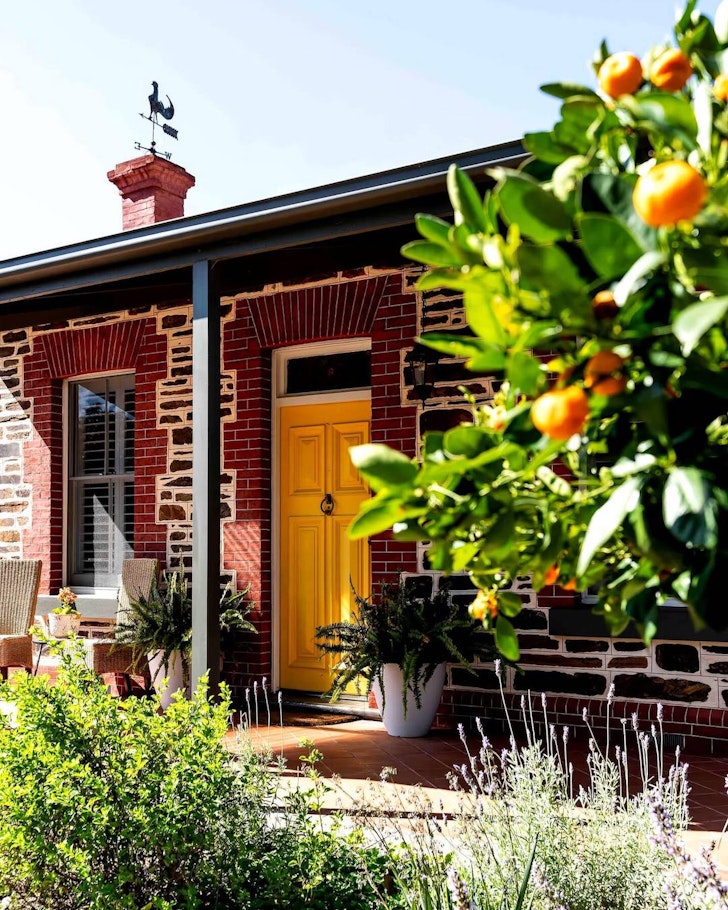 The Best Pet-Friendly Airbnbs And Accommodation In Adelaide