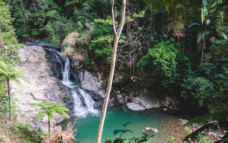 A waterfall tumbling into a green creek, surrounded by rainforest.