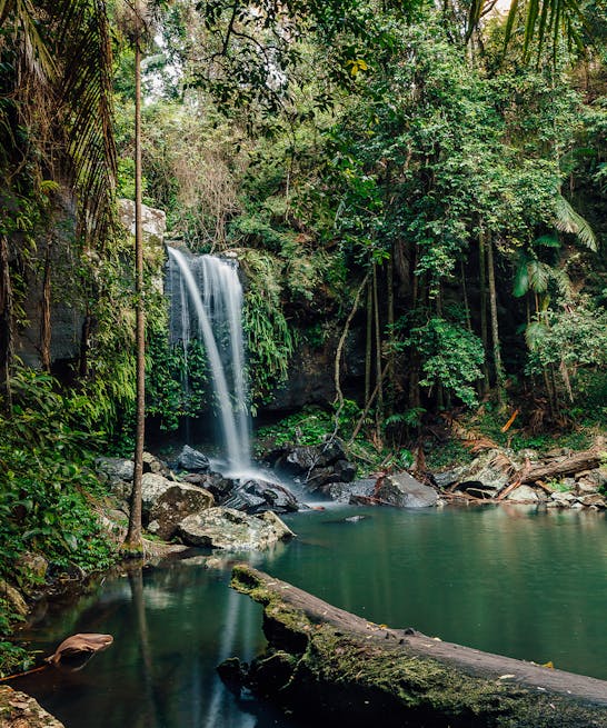 The Best Bush Walks On And Around The Gold Coast | URBAN LIST GOLD COAST