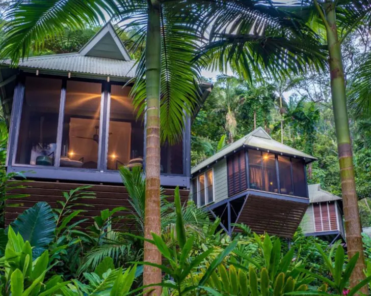 A view of the lodges at Daintree Eco Lodge one of the best health and wellbeing retreats Australia
