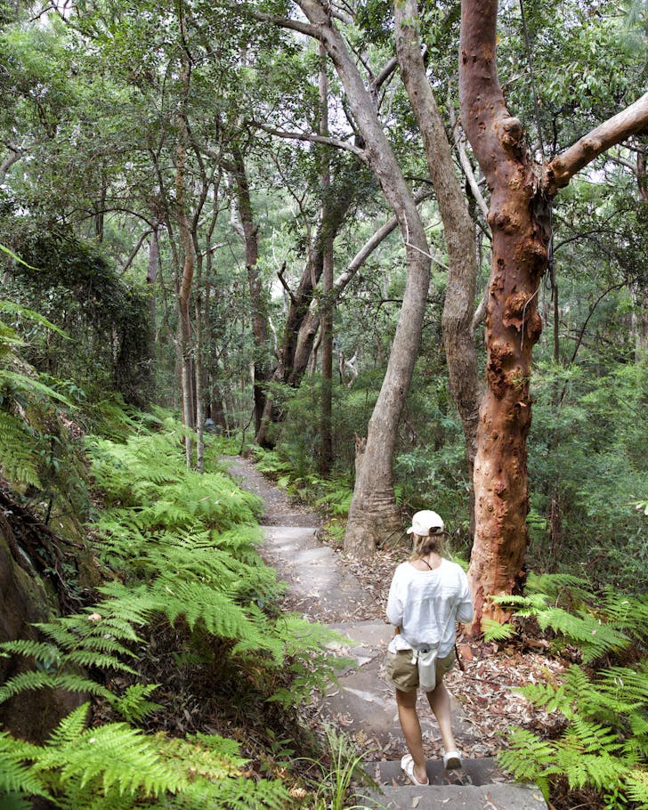 Here’s Why The Blue Mountains Is One Of Our Top Spots For A Spring Road Trip