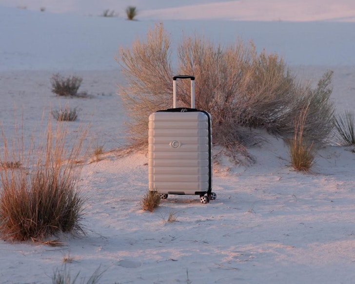 Delsey, one of the best luggage brands