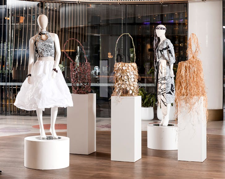 delvene cockatoo-collins