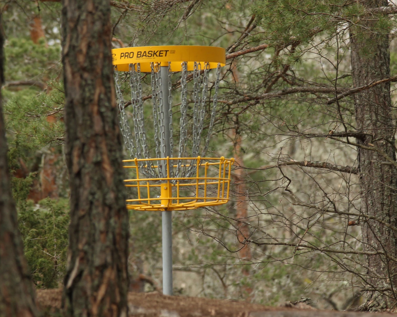 A disc golf basket in the middle of a forest.