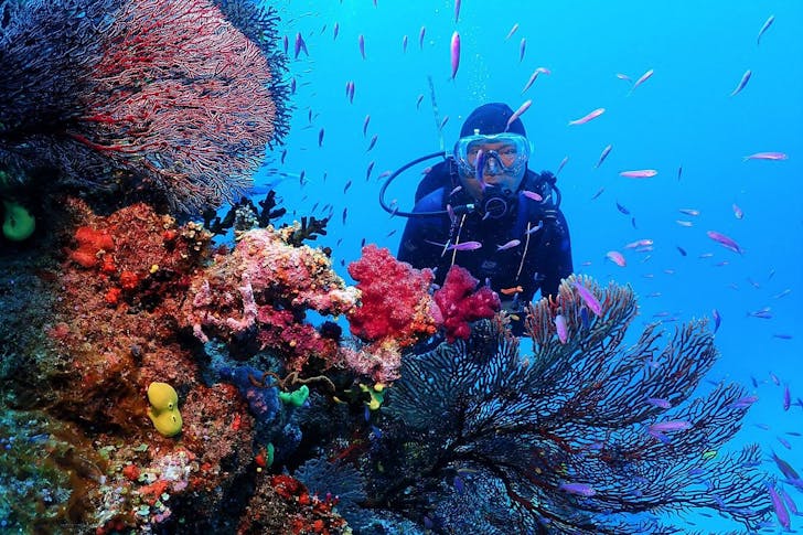 Diving at Jean-Michel Cousteau Resort