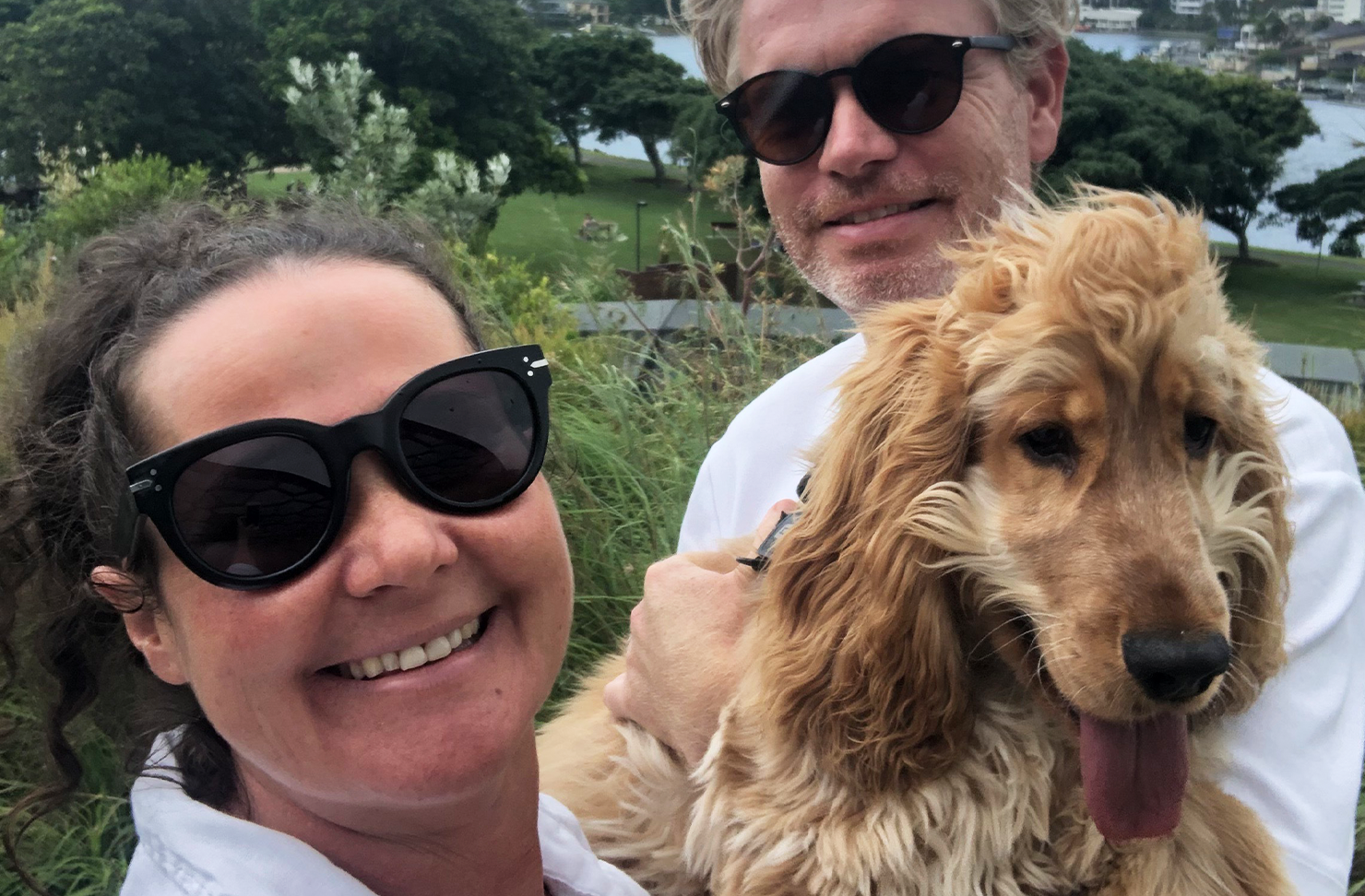 can you take dogs to burleigh beach