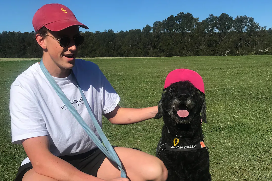 The Best Dog Products And Supplements Of 2026 To Nourish Your Doggo The Best Dog Products And Supplements Of 2026 To Nourish Your Doggo