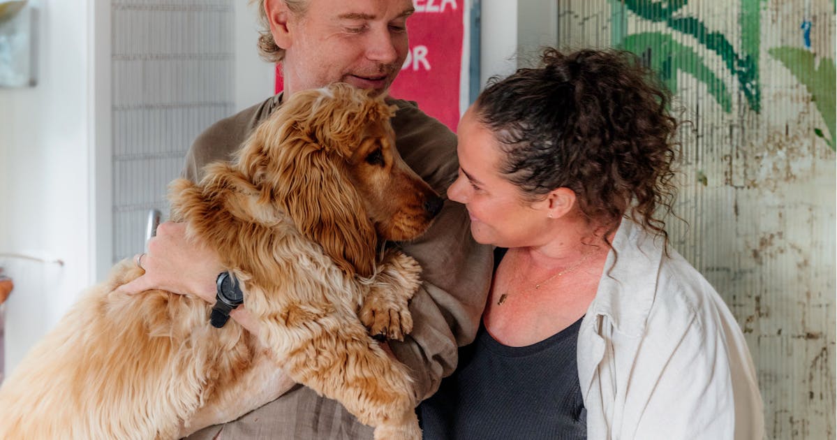 Aucklands Best Dog Groomers URBAN LIST NEW ZEALAND