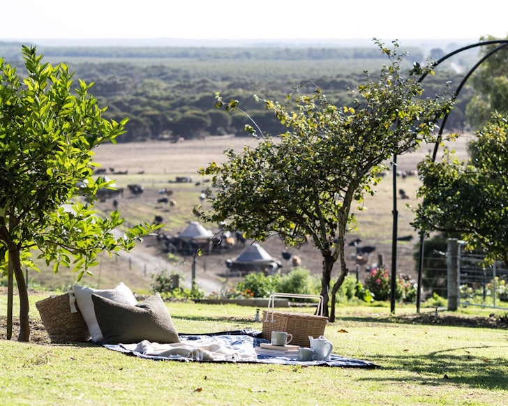 A picnic rug with a view of the farm at Dunmore Homestead Cottage best WA farm stays
