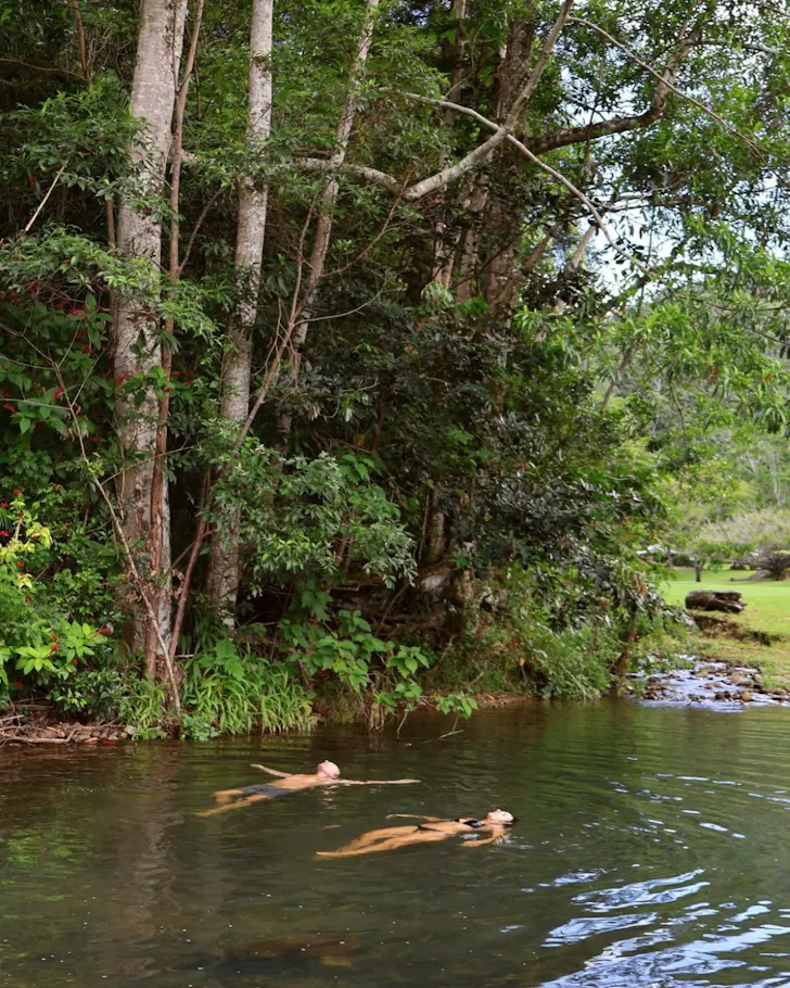 Two people soaking in a creek among the rainforest