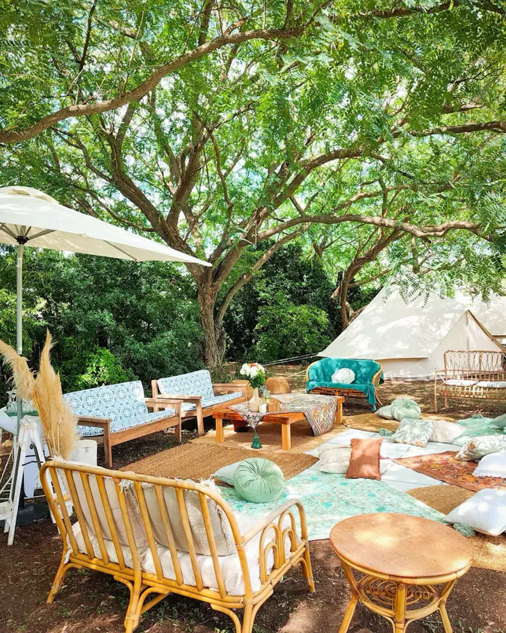 Picnic area under a large tree
