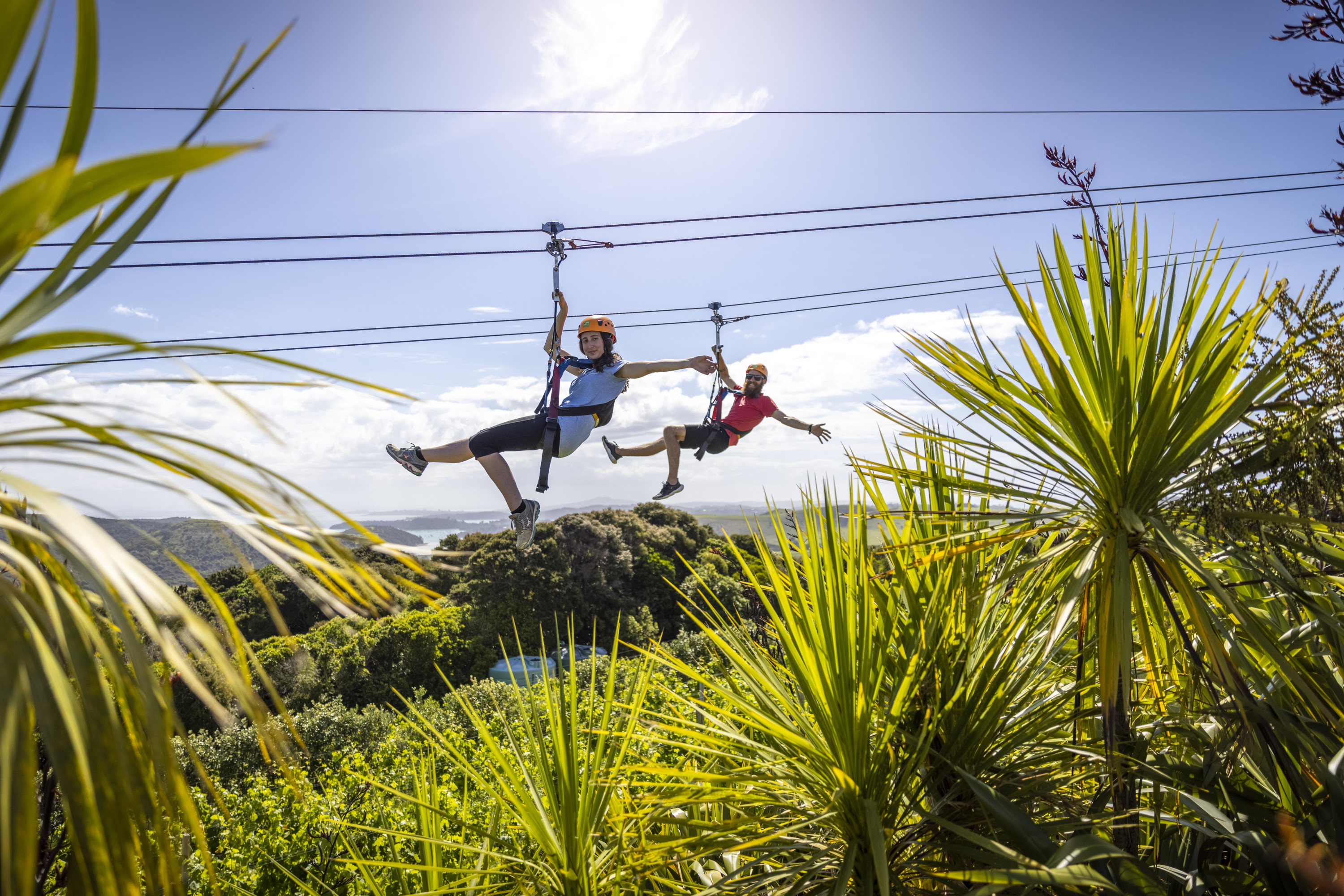 Friends swing on a zipline through the treetops at EcoZip on Waiheke 