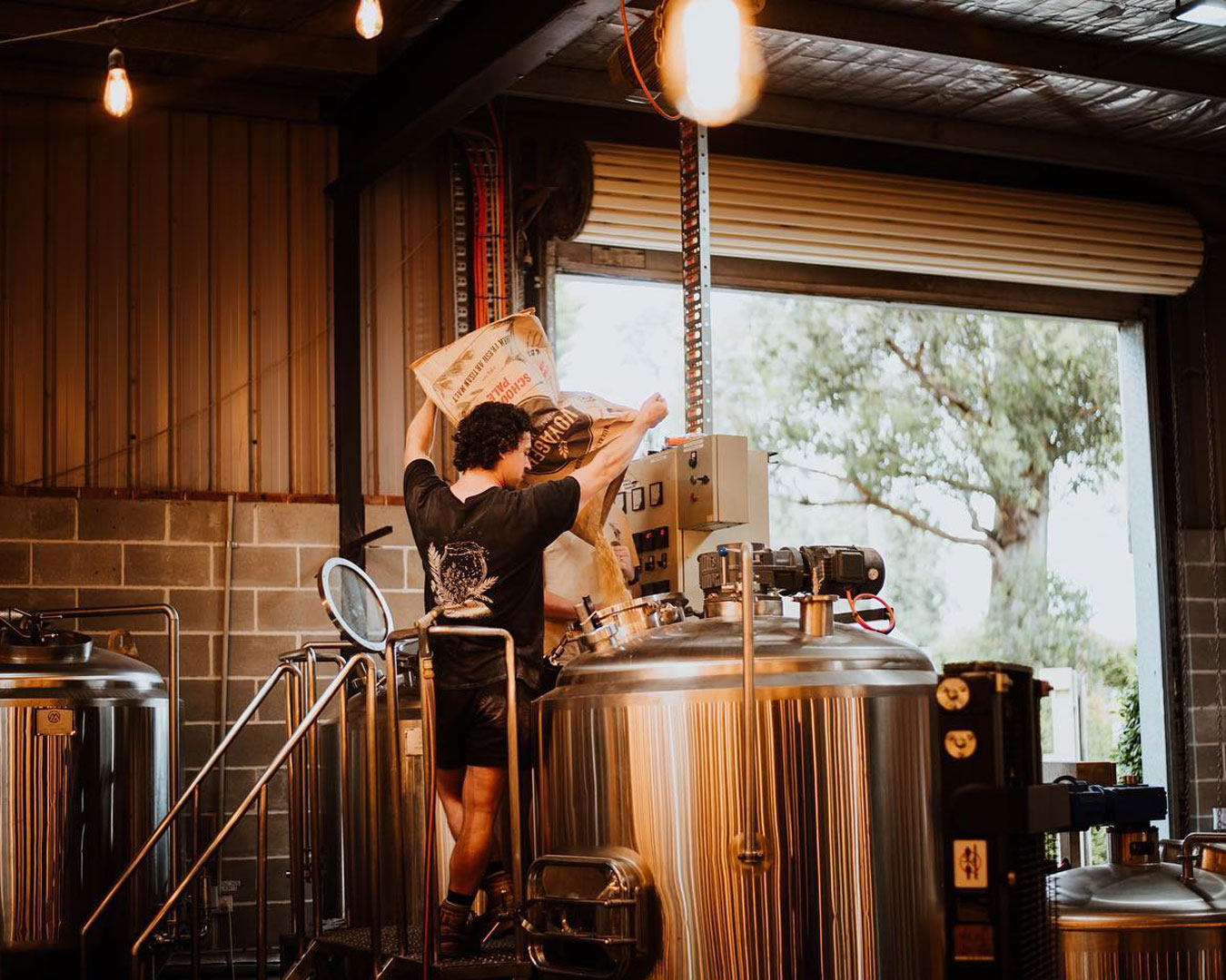 Man working in brewery