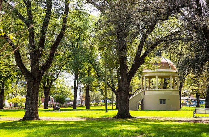 The green trees of Edinburgh Gardens in Fitzroy, one of the best things to do in Fitzroy. 