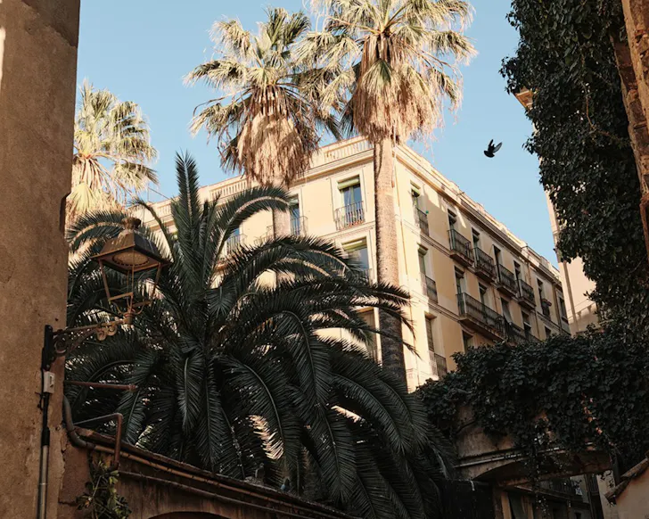 The facade of Hotel Casa Camper surrounded by palm trees in El Raval, Barcelona.