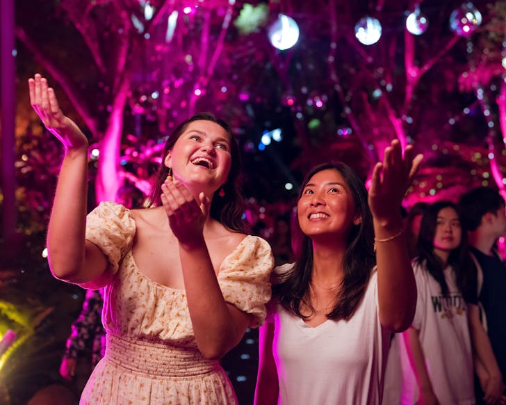 the enchanted garden