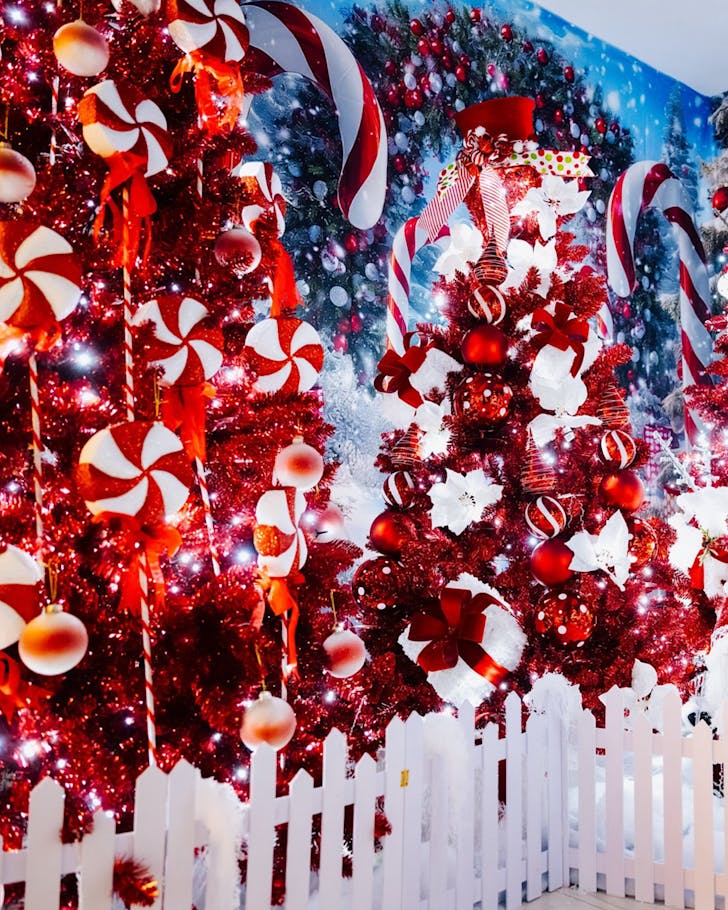 Two big Christmas trees decked out in red and white.