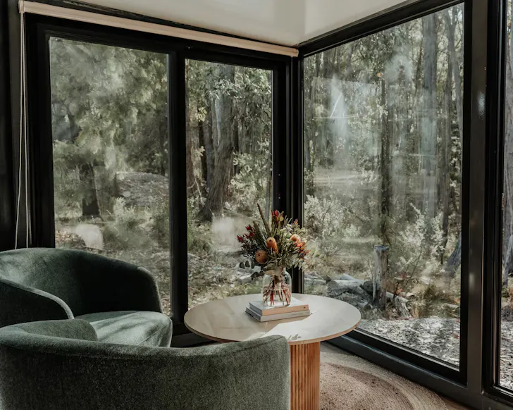 The living space with a tree view at Nature's Den one of the best tiny homes in Adelaide and SA