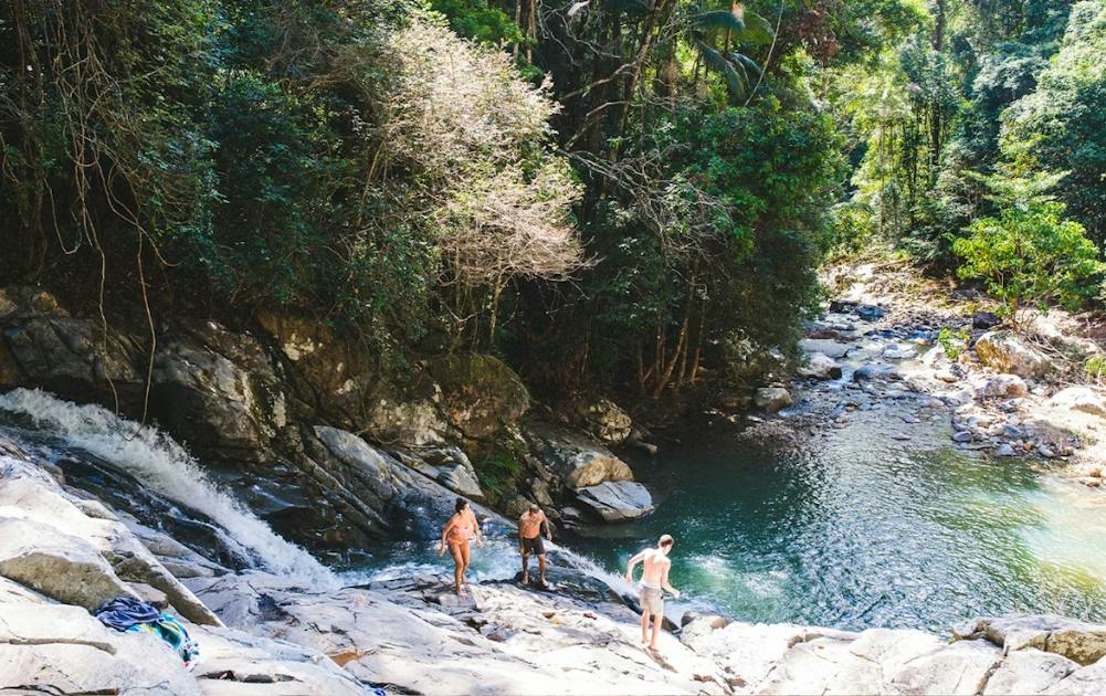 Binna Burra Walks