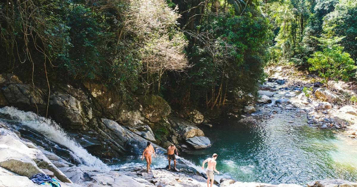 Binna Burra Walks