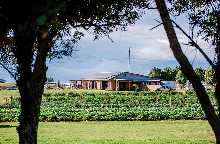 Farm and Co Cafe Cudgen