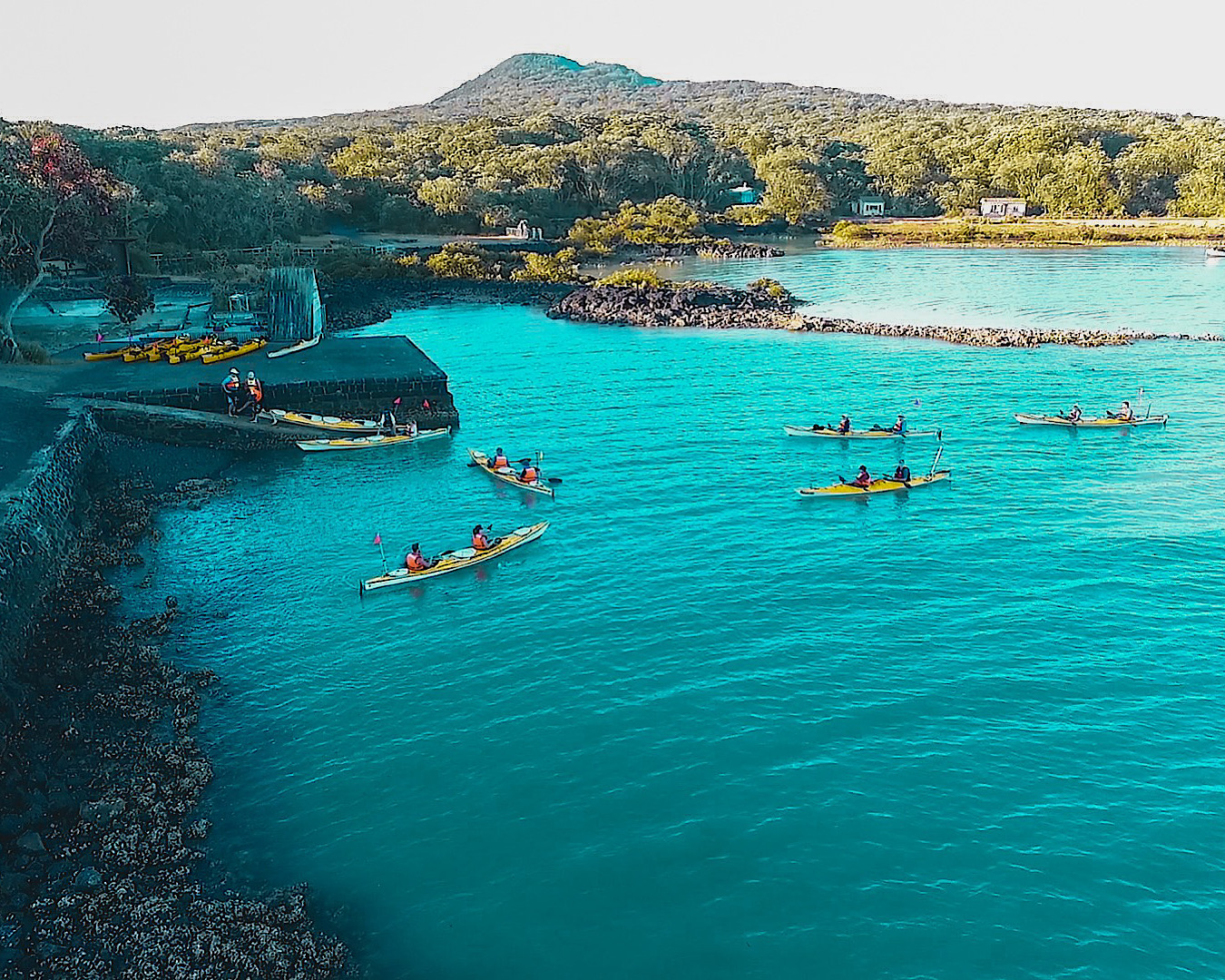 Another great thing to do in auckland - a group of kayakers paddle around in the water off Rangitoto Island. 