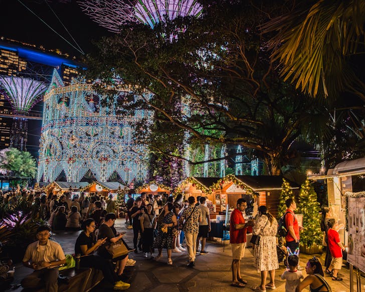 Gardens by the Bay Christmas Wonderland