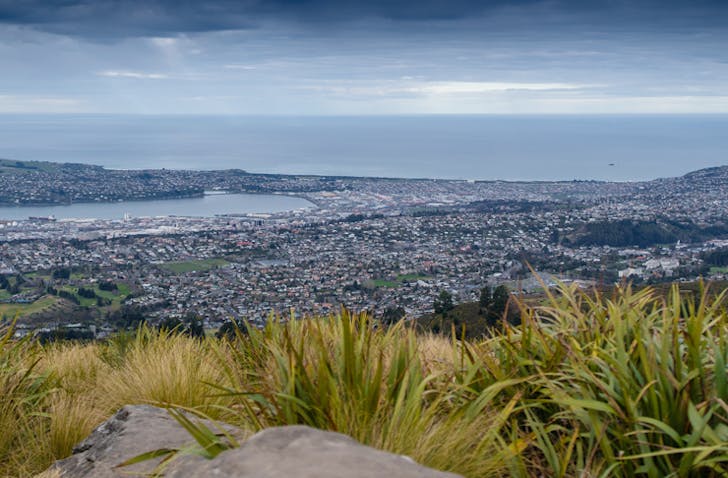 At the top of the Flagstaff overlooking the entirety of Dunedin