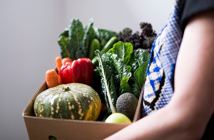 A. person holding a box of fresh vegetables. 