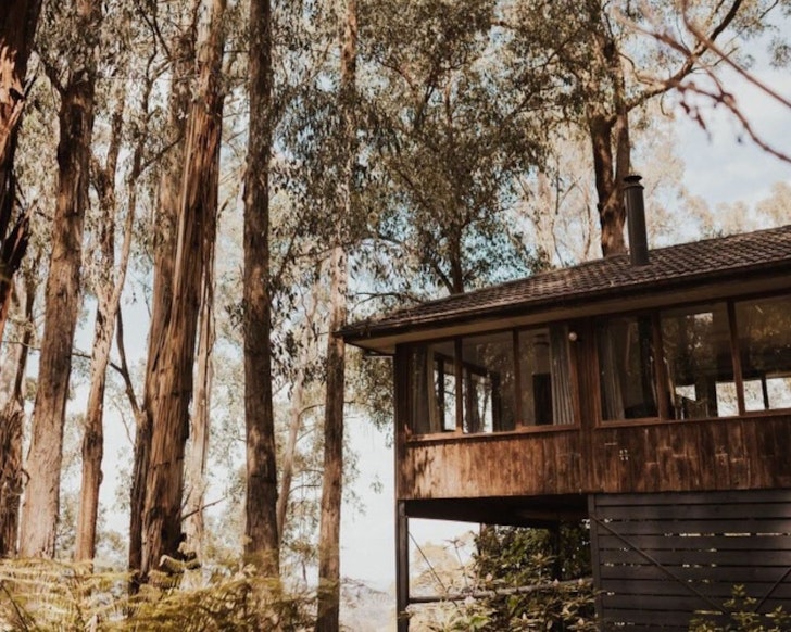 The home among the trees at Forest Retreat one of the best Dandenong Ranges Airbnbs