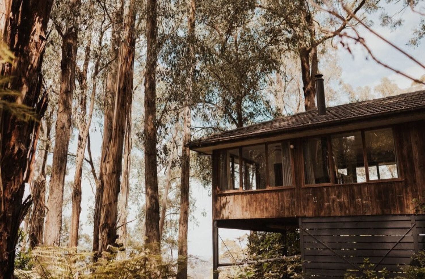 Forest Retreat one of the best Dandenong Ranges Airbnbs