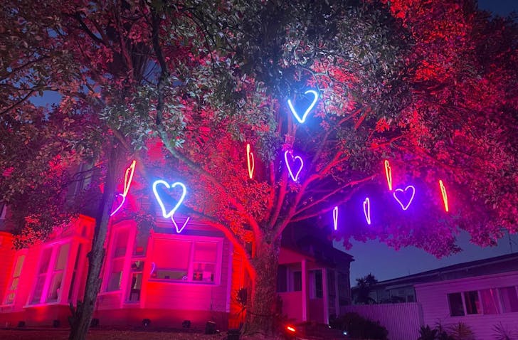 Franklin Road Christmas Lights