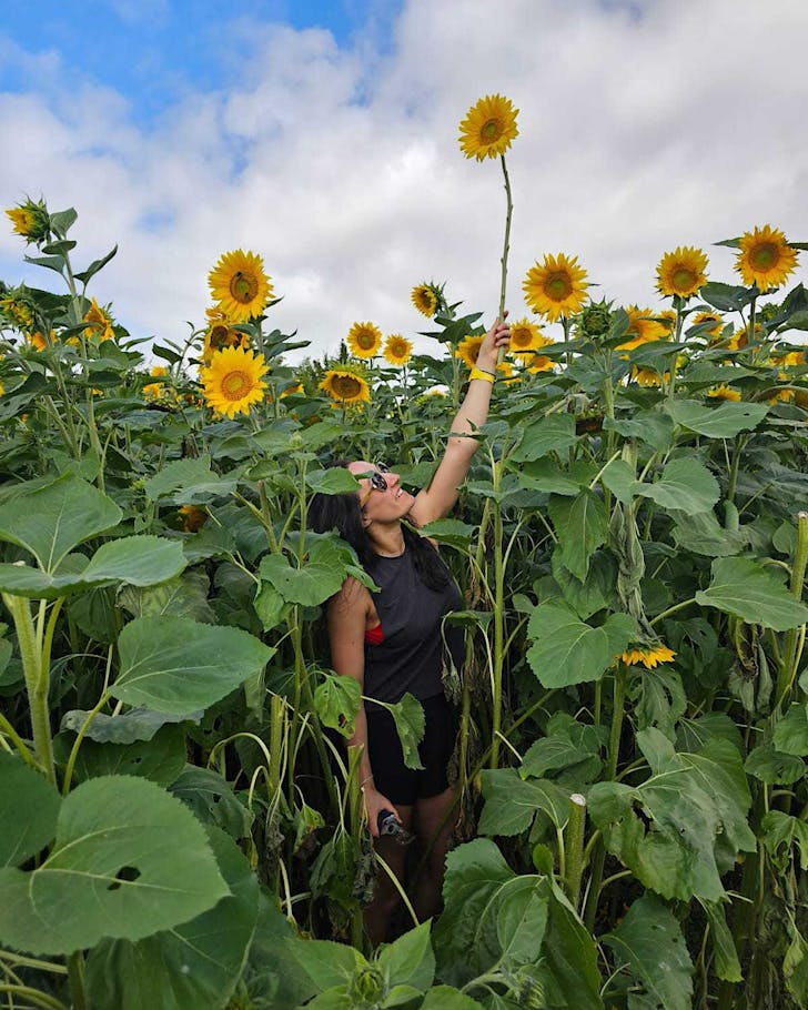 Alice holds a massive sunflower up to the sky at Franklin Farm Sunflower Fields. 