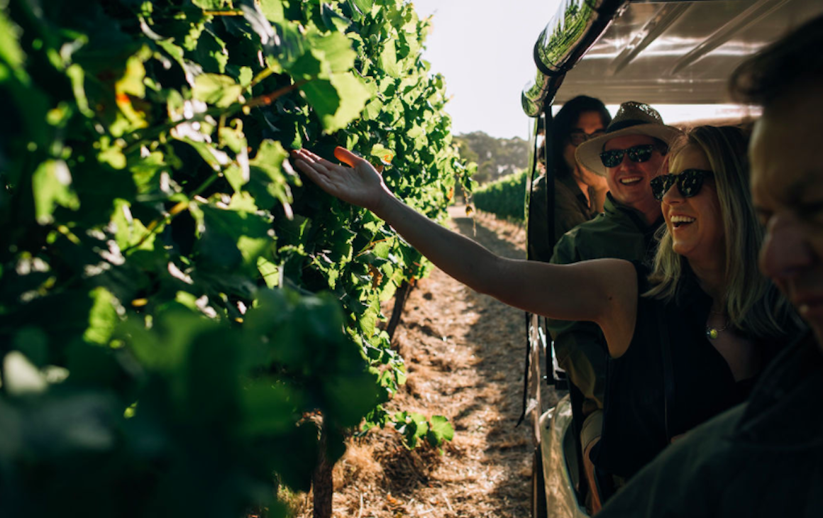 Fraser Gallop Winery Tour