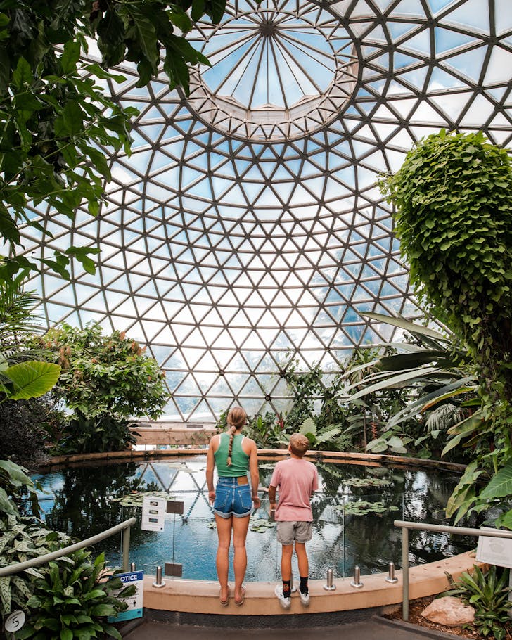 the tropical dome at the brisbane botanic garden